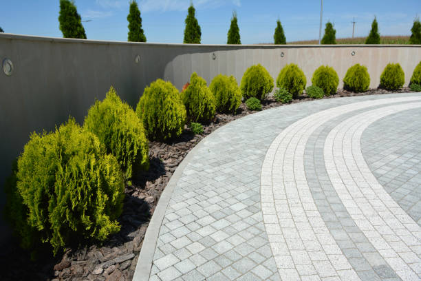 Best Driveway Paving Near Me  in South Ack, NY